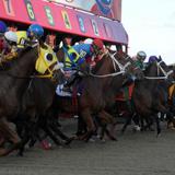 “Hay que ser bien caballo”, dice representante Ángel Matos por propuesto aumento en jugada hípica