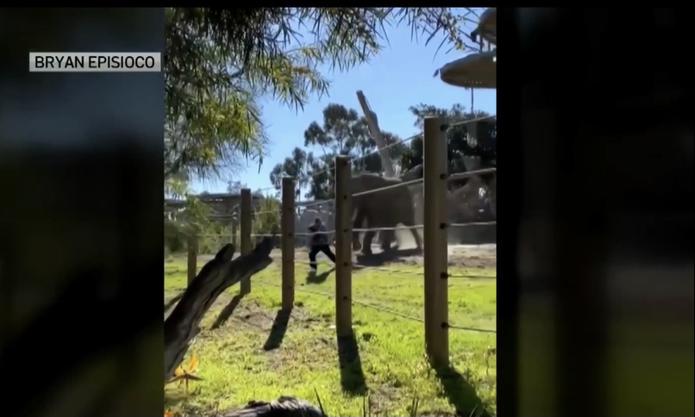 Un video del incidente proporcionado a NBC San Diego.