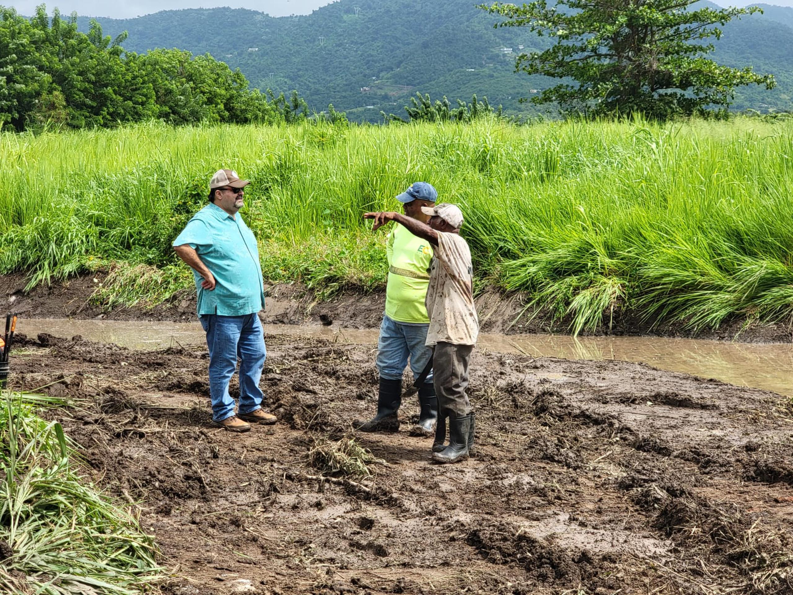 Una excavadora está limpiando canales de drenaje en fincas de Maunabo, luego de décadas que no consiguieran hacer esos trabajos.
