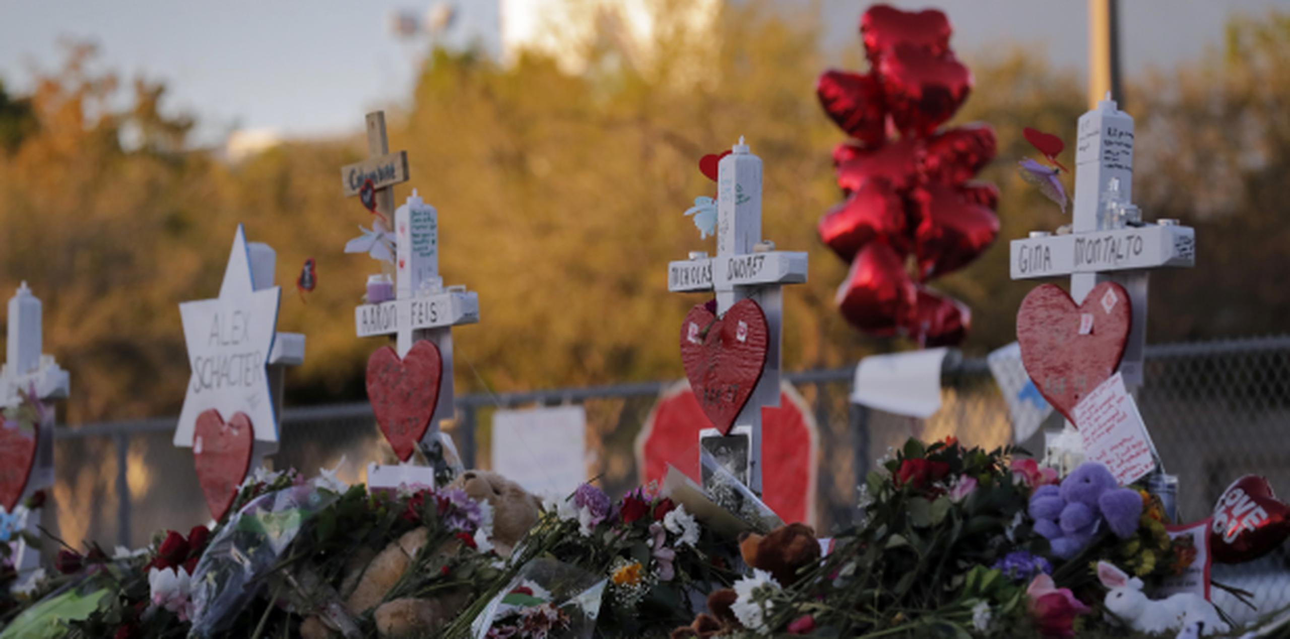 Nueva ley de armas en Florida ahora está bajo la lupa del gobernador