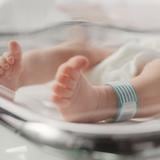 Pareja en Kentucky acusada de tratar de vender a sus mellizas recién nacidas
