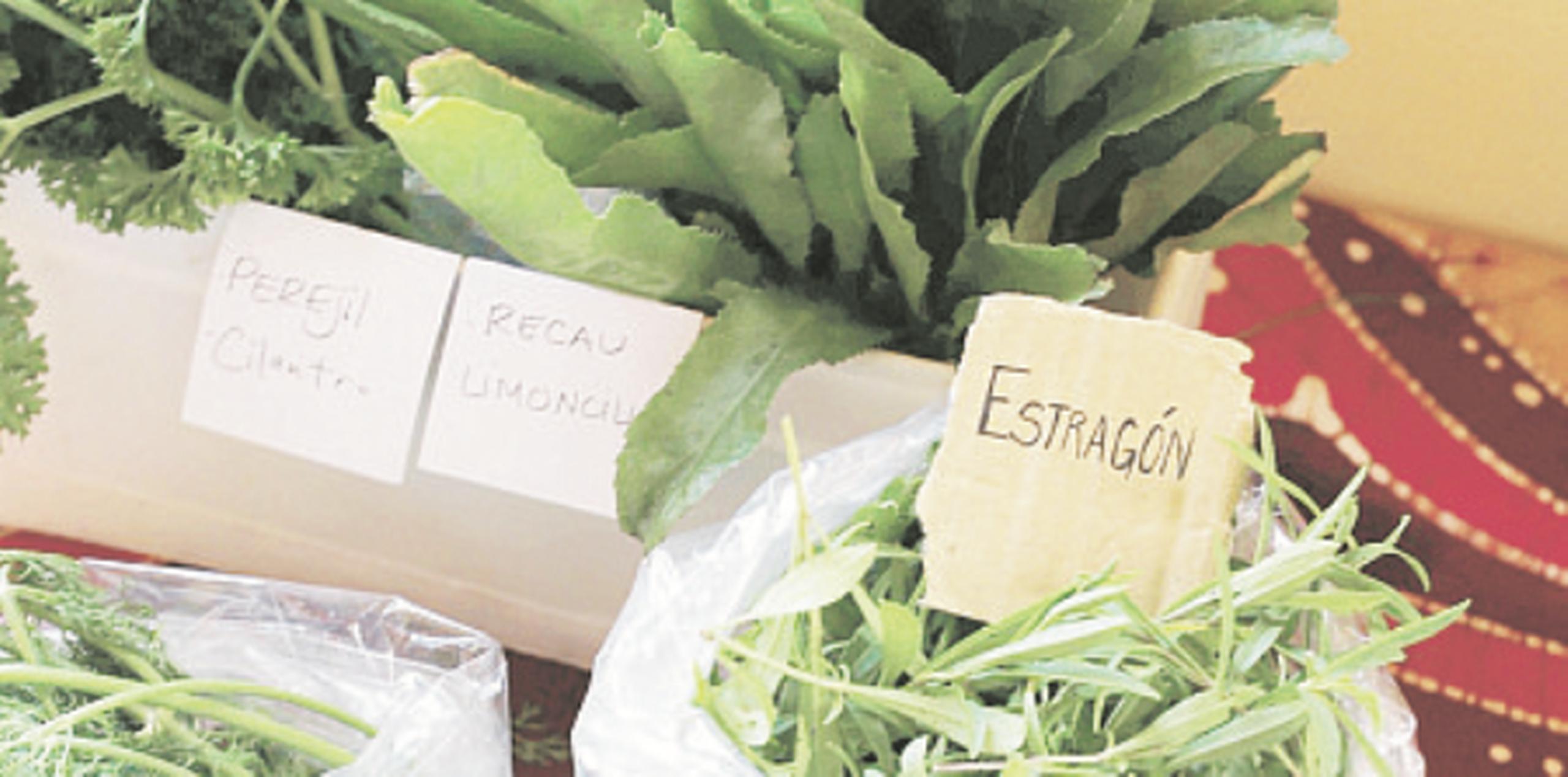 Este domingo se realizará el Mercado Agrícola de Caimito. (Archivo)