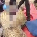 Cuerpo de hombre reportado desaparecido fue encontrado en el estómago de enorme cocodrilo