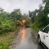 Región de Arecibo con árboles caídos, tendido eléctrico en suelo y miles de abonados sin agua y luz