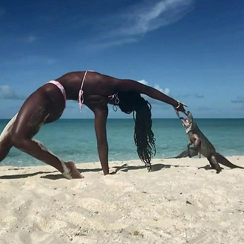 Hacía yoga cuando esta iguana la mordió