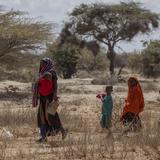 Sequía en el Cuerno de África amenaza millones de vidas