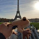 El Coquí Viajero se toma selfies en cualquier país