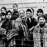 Mayoría de milenials y Gen Z en Estados Unidos desconoce que murieron 6 millones en Holocausto