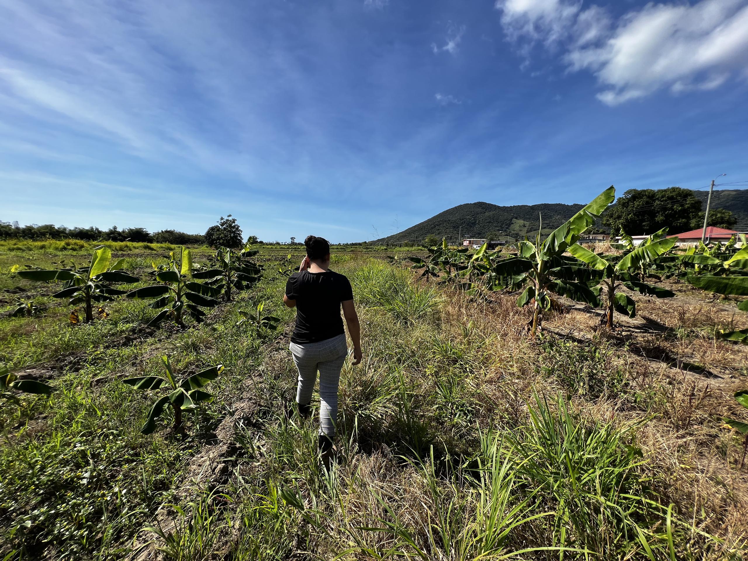 Al mirar al horizonte, Nitzi no solo ve un futuro prometedor para las agriculturas, sino para la industria agrícola local, en general.