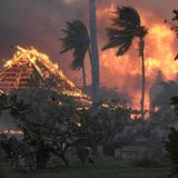 Incendios en Hawai dejan al menos 36 fallecidos