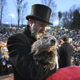 La famosa marmota Phil predice un inicio temprano de la primavera