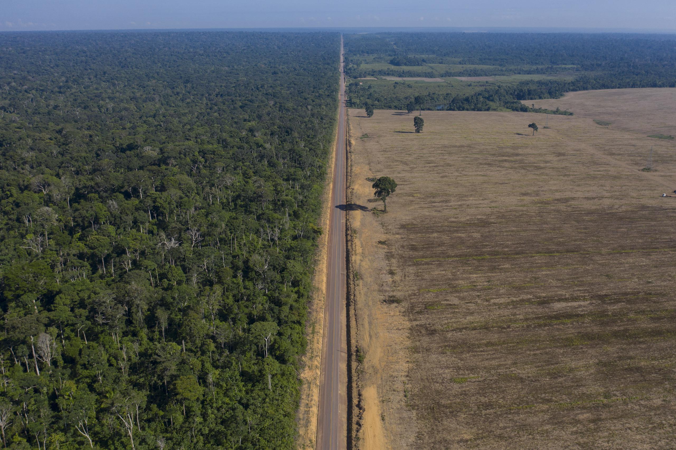 La ruta BR-163 entre el Bosque Nacional de Tapajos, izquierda, y un campo de soya en Belterra, estado de Pará, Brasil.