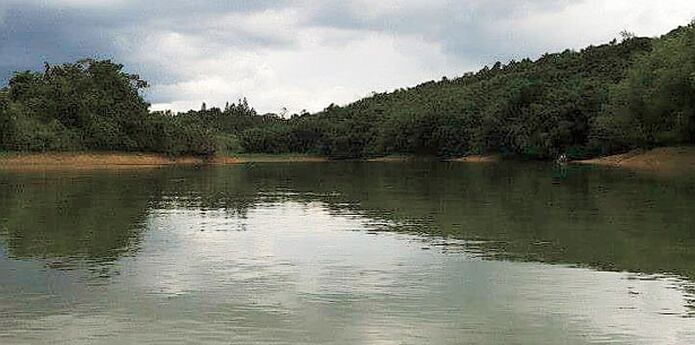 Limpieza en el lago de Cidra Primera Hora