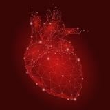 Los avances en tecnología cardiovascular salvan vidas