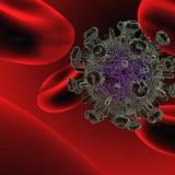 Científicos demuestran que la combinación de vacunas es clave frente al sida 