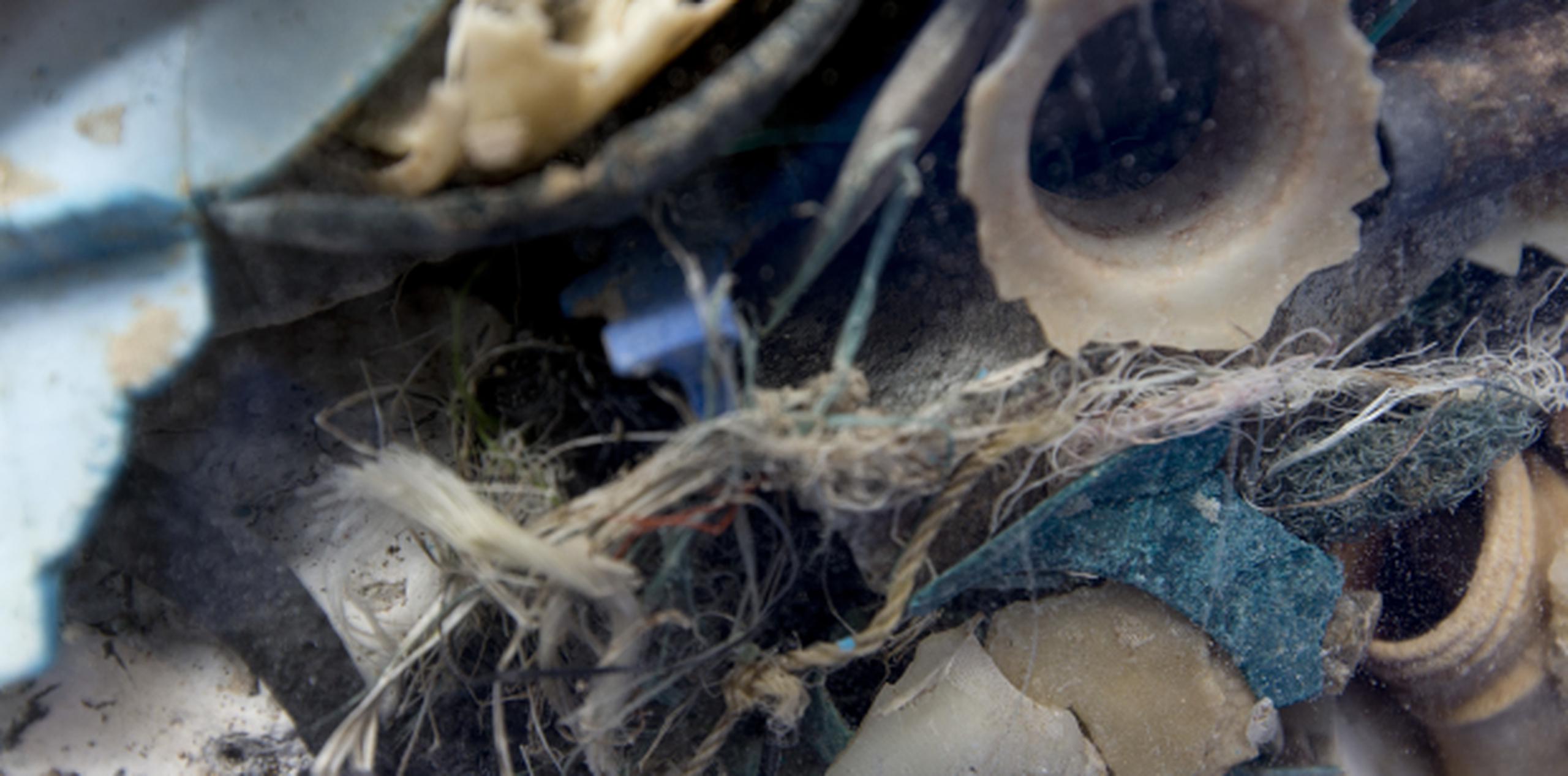 Una muestra del tipo de basura que flota en la Gran Mancha de Basura del Pacífico, que la fundación holandesa The Ocean Cleanup se propone limpiar.
 (AP/Peter Dejong)
