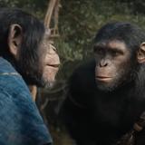 “Kingdom of the Planet of the Apes”: Fascinación por un mundo de simios