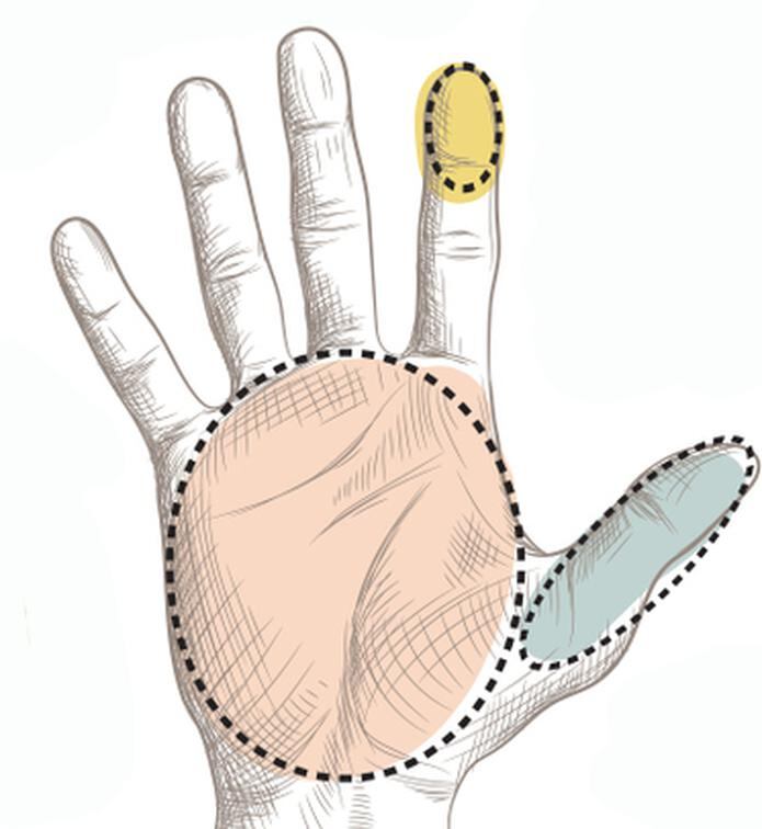 La porción adecuada corresponde al tamaño de la palma de la mano, desde la muñeca hasta dónde empiezan los dedos.