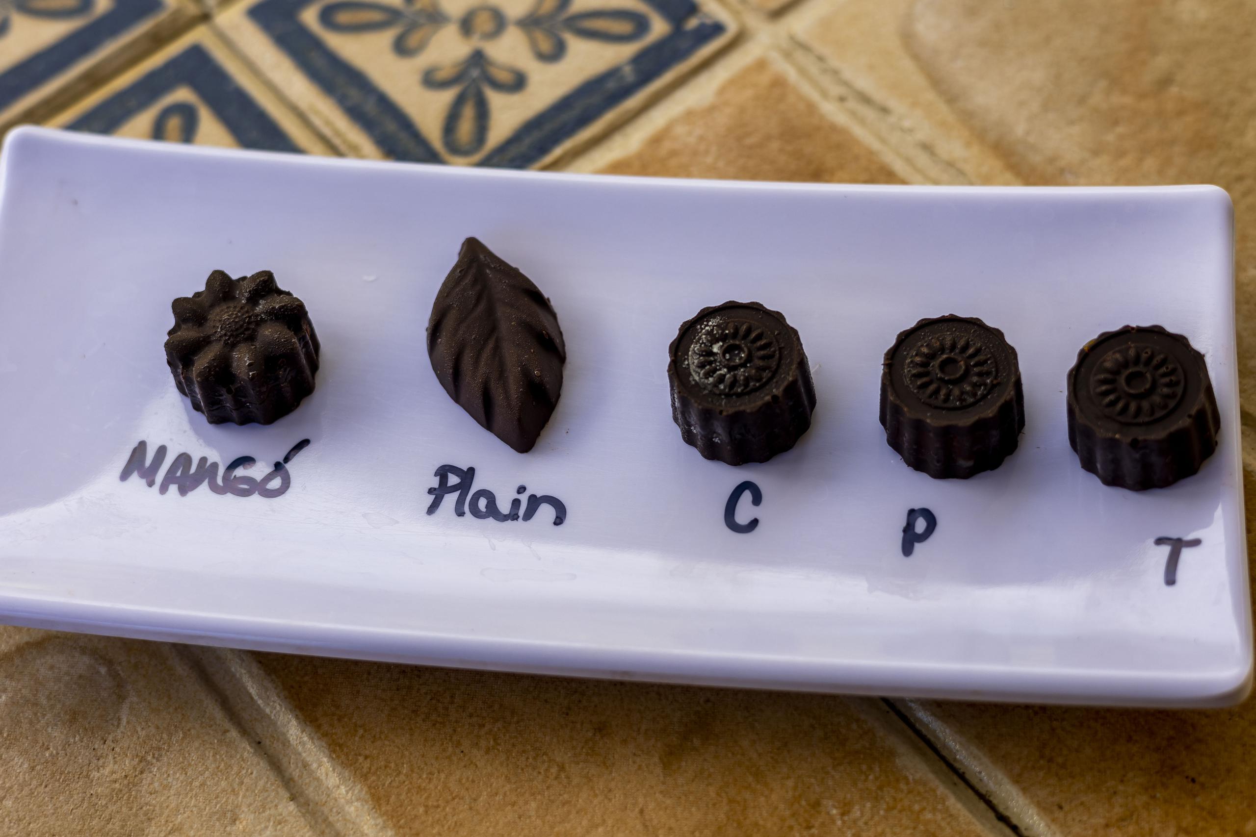 Uno de los productos que se elaboran son bombones de cacao.