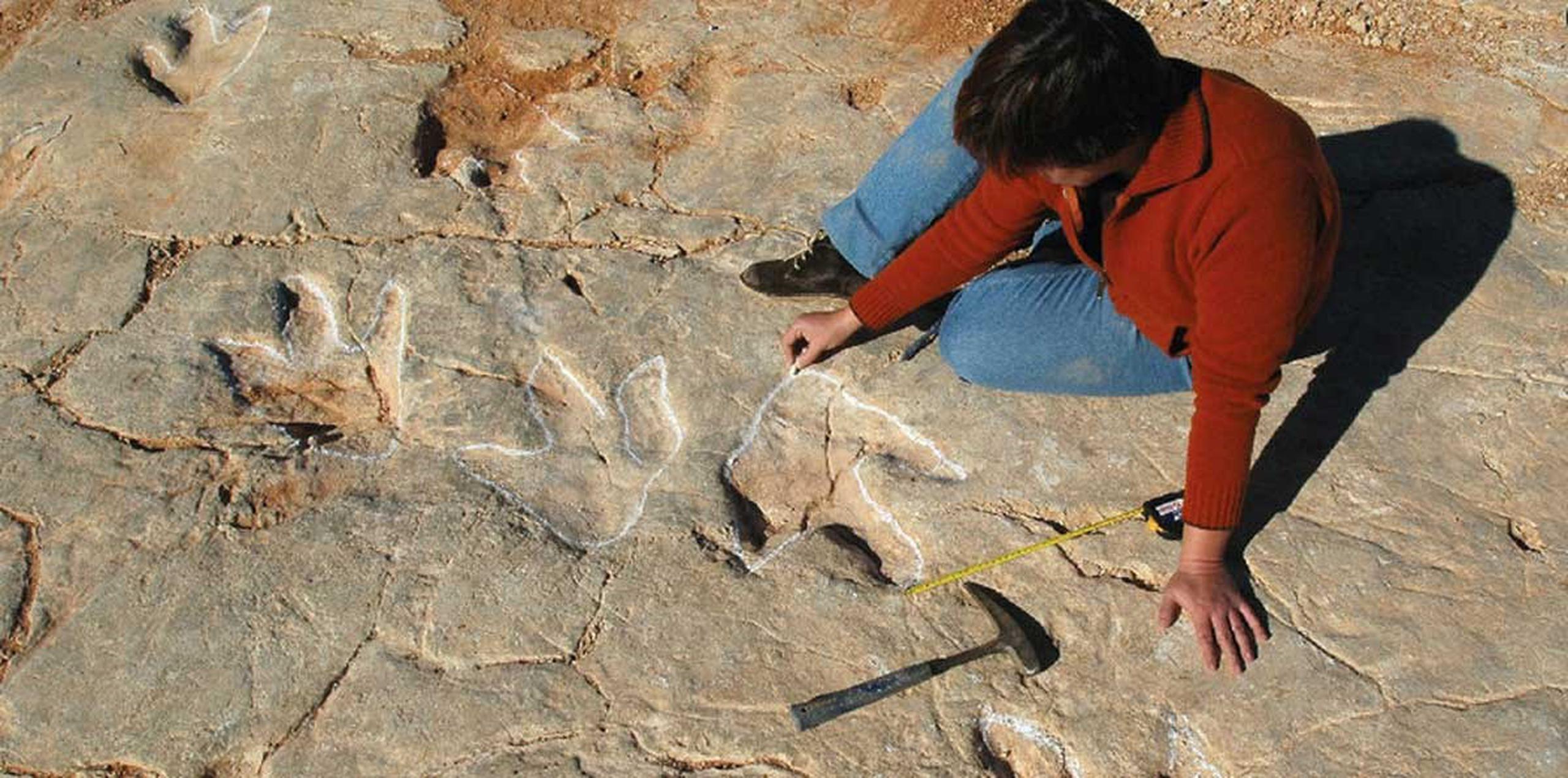 La concentración de más de 700 huellas de estos dinosaurios cazadores solitarios supone "un excepcional hallazgo". (Toma pantalla / nature.com/articles/srep31494/figures/1)
