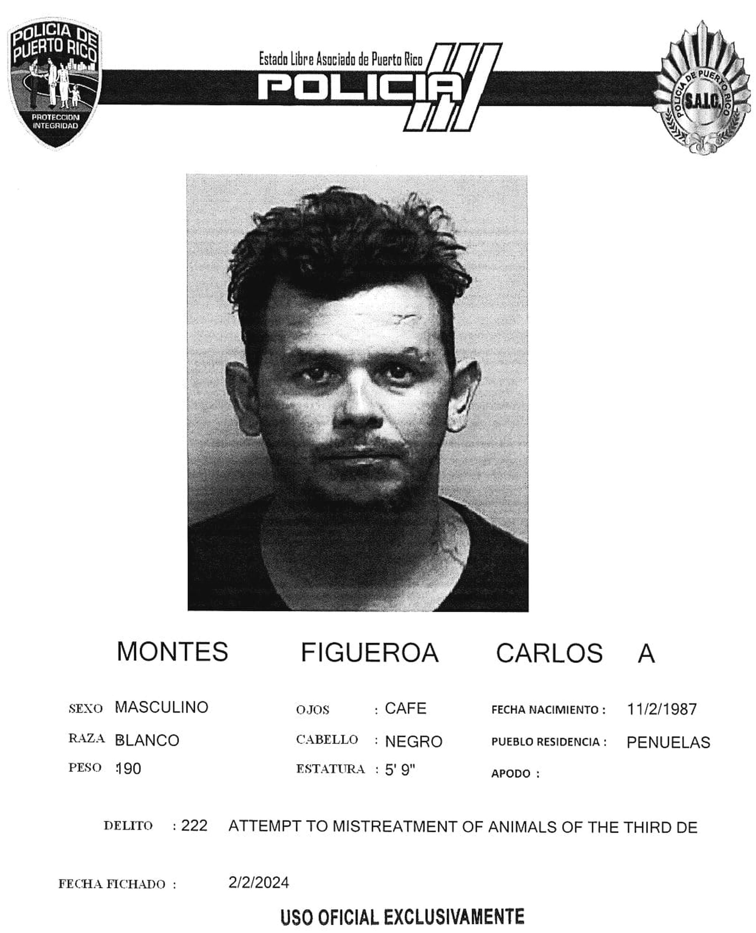 Carlos A. Montes Figueroa enfrenta cargos por violencia de género y maltrato de animales.