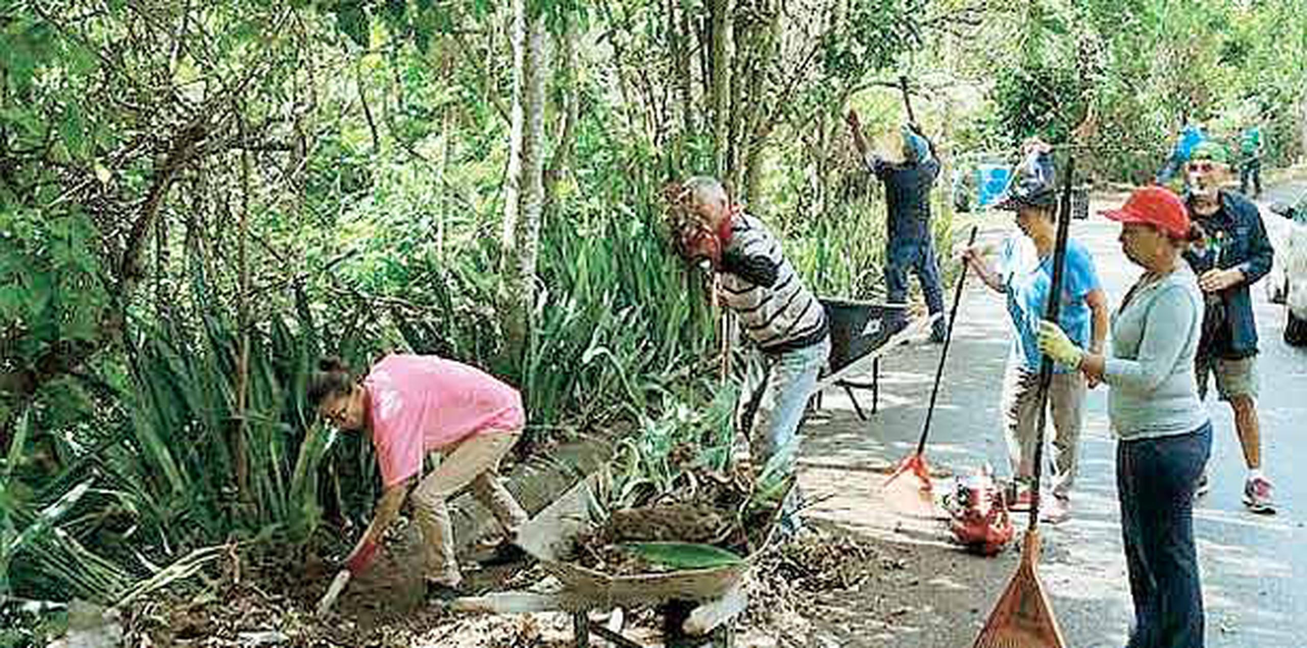 Entre los planes a corto plazo, los residentes quieren construir jardines para darle vida a las calles. Mientras, los sábados se reúnen para limpiar la comunidad. (darisabel.texidor@gfrmedia.com)