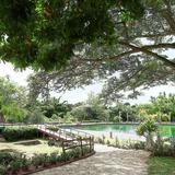 Regresa el CardiDay en el Jardín Botánico de Caguas