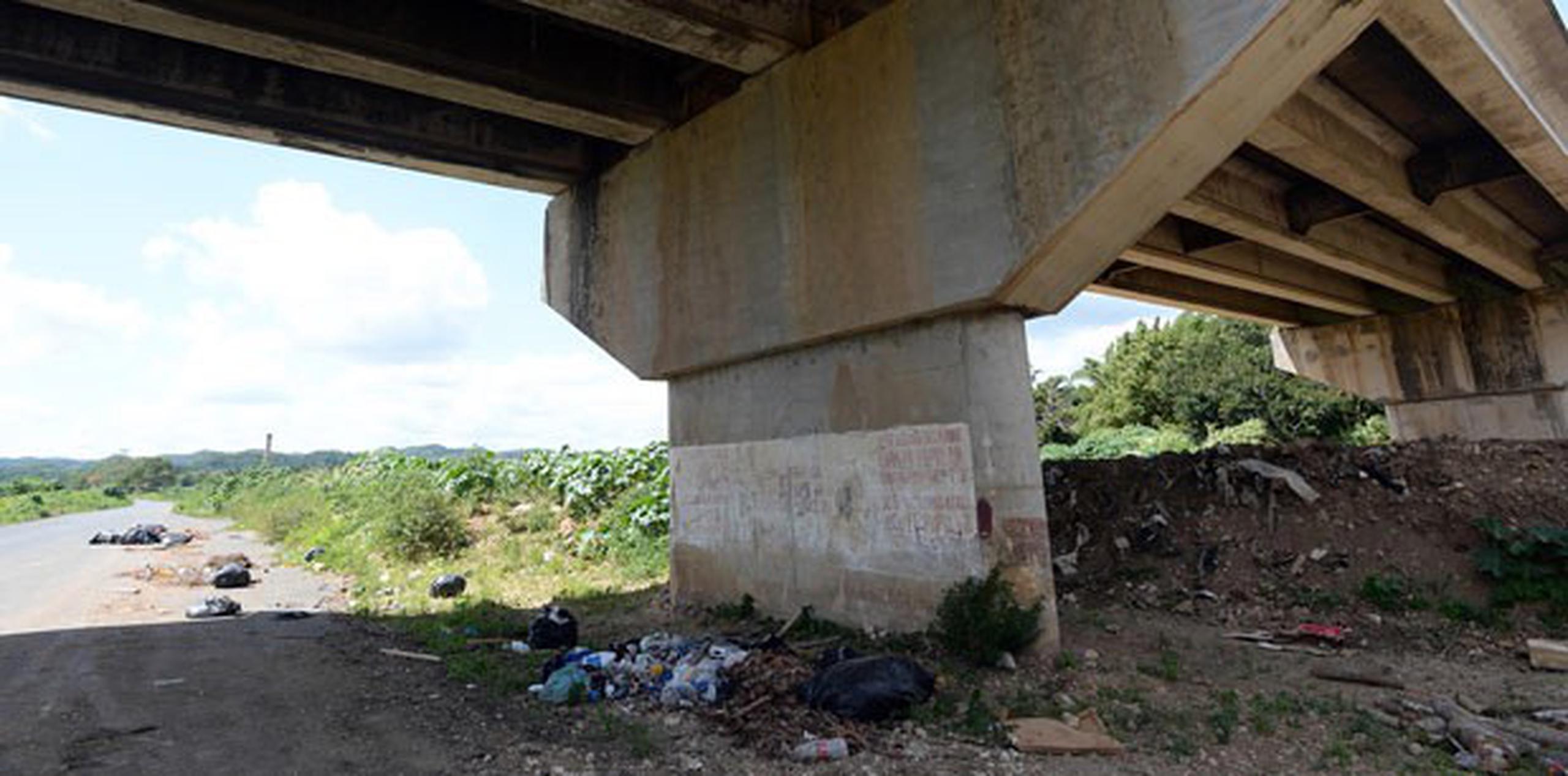 Debajo del puente Las Mitilias, en Vega Alta se han encontrado perros y gatos muertos. (ANDRE KANG / andre.kang@gfrmedia.com)