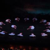 Ballet Concierto de Puerto Rico y el MAPR realizarán lectura de cuento