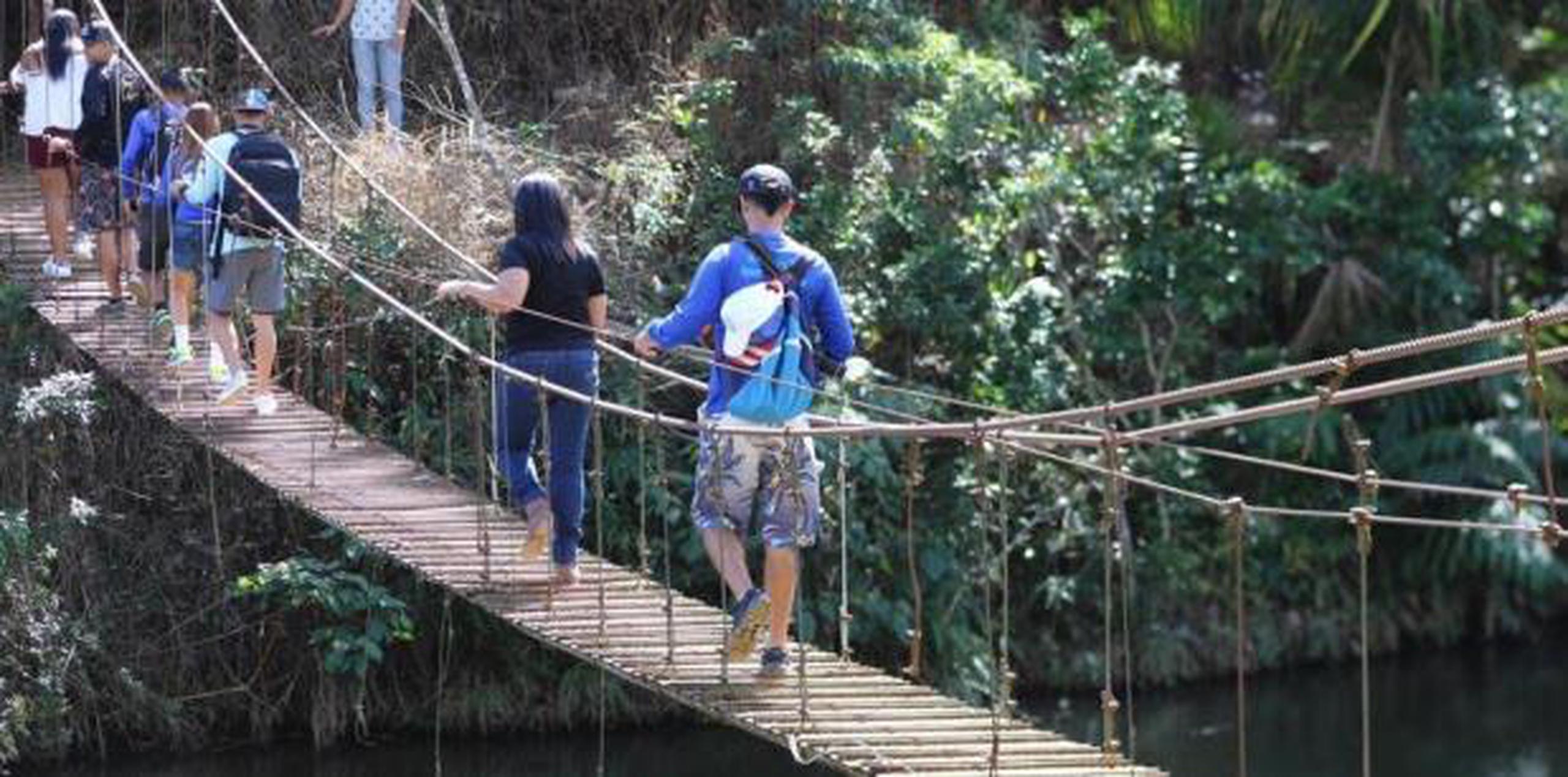 Para continuar con el paseo, el visitante puede llegar al Puente Hamaca que cruza el lago Garzas, en una experiencia repleta de emociones y pura adrenalina. (Archivo)