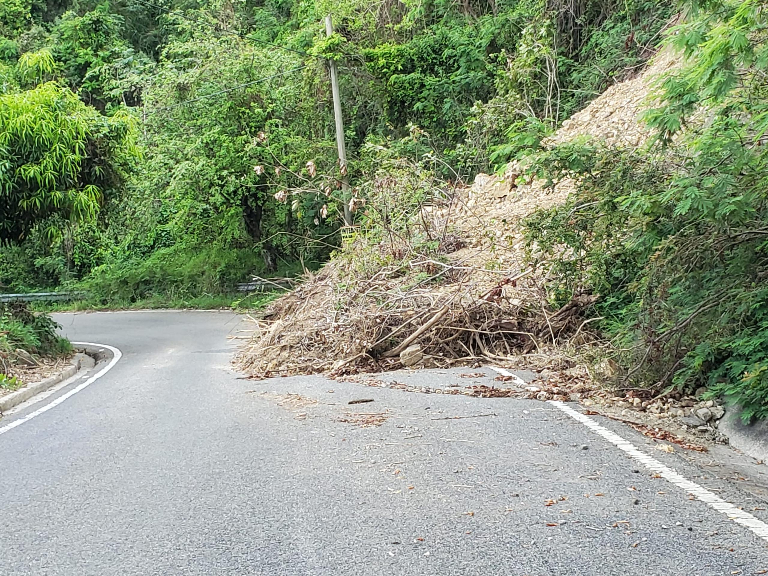 La carretera de acceso a la zona, la PR-387, está plagada de derrumbes y árboles que amenazan con caer.