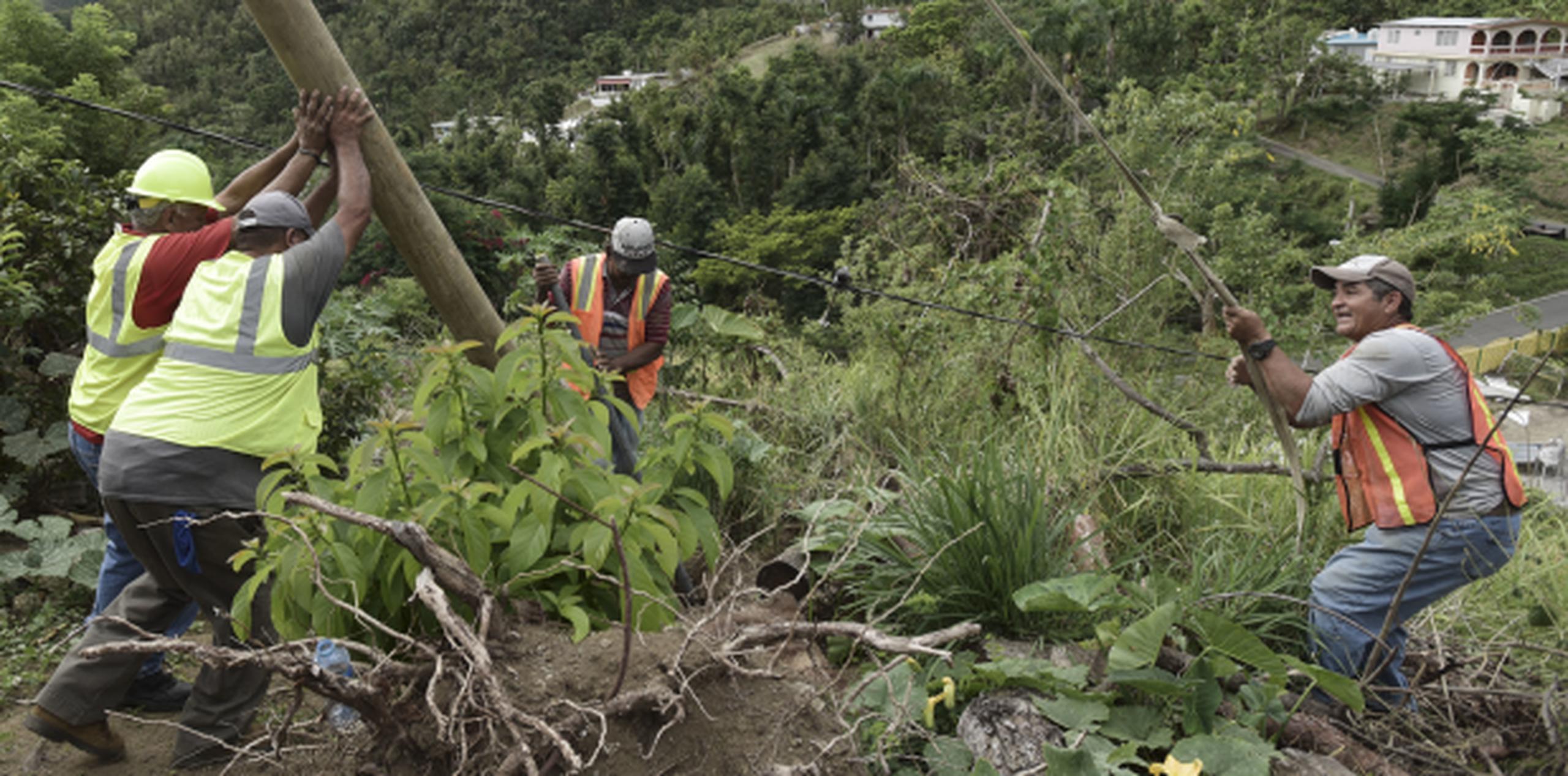 Durante meses, los vecinos suplicaron a la compañía eléctrica de Puerto Rico y al Cuerpo de Ingenieros del Ejército que restablecieran el servicio, con escasos resultados. (AP / Carlos Giusti)