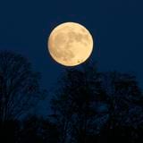 Estudio revela que las noches antes de la luna llena las personas duermen menos