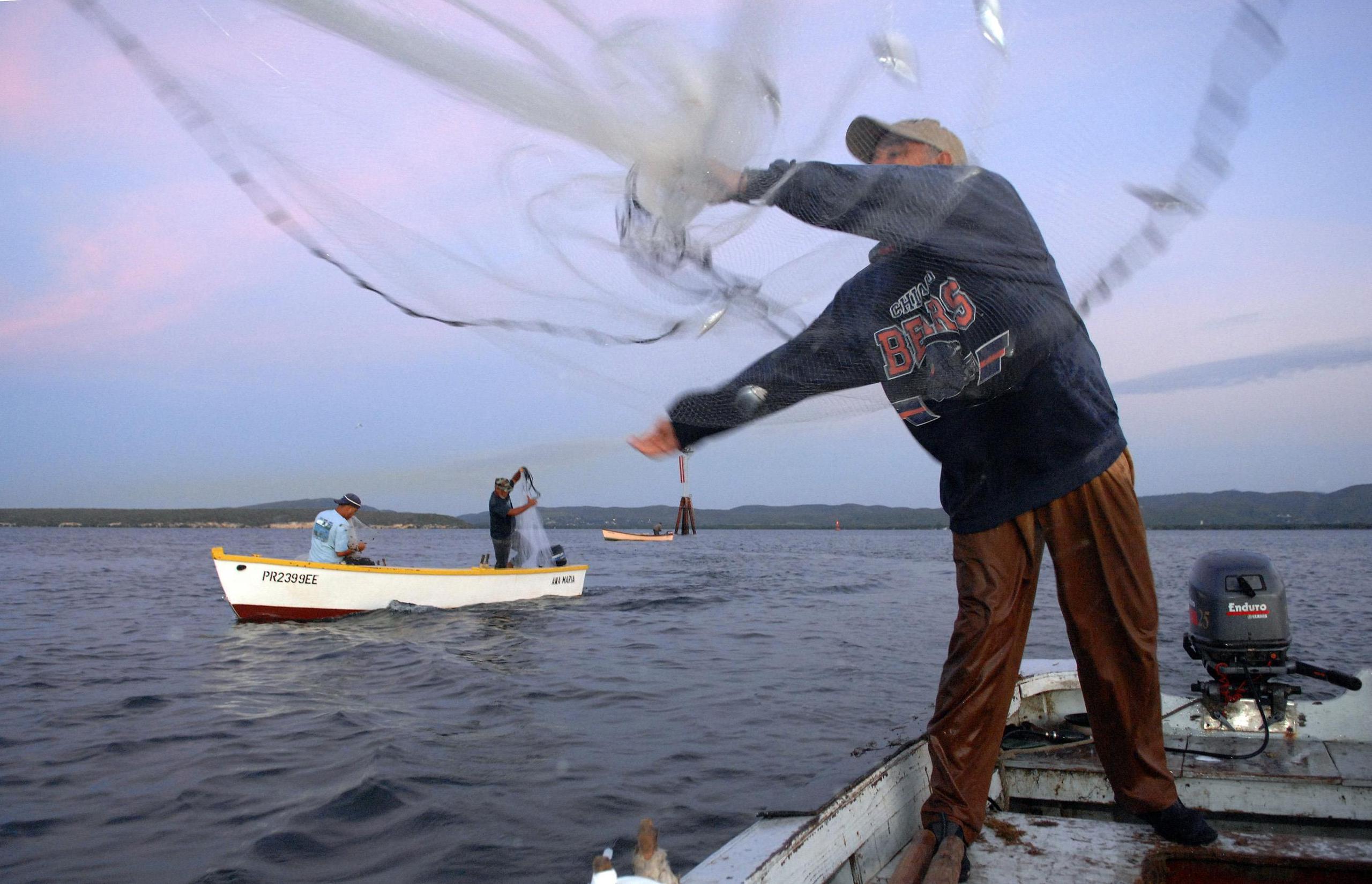 La industria de pesca local está pasando por una situación precaria luego del huracán María. (GFR Media)