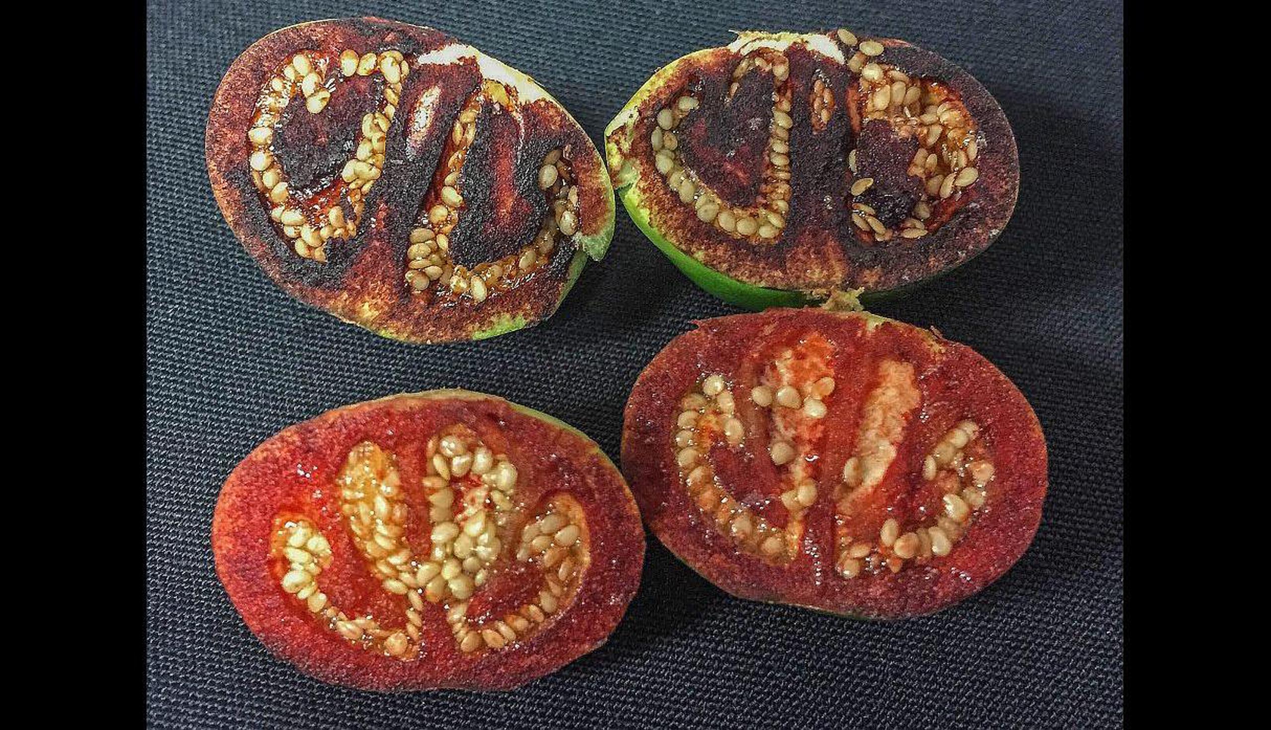 Esta nueva especie de planta ha sido llamada 'Solanum ossicruentum'. Los frutos inmaduras toman un color rojo sangre cuando son cortados. (GDA)