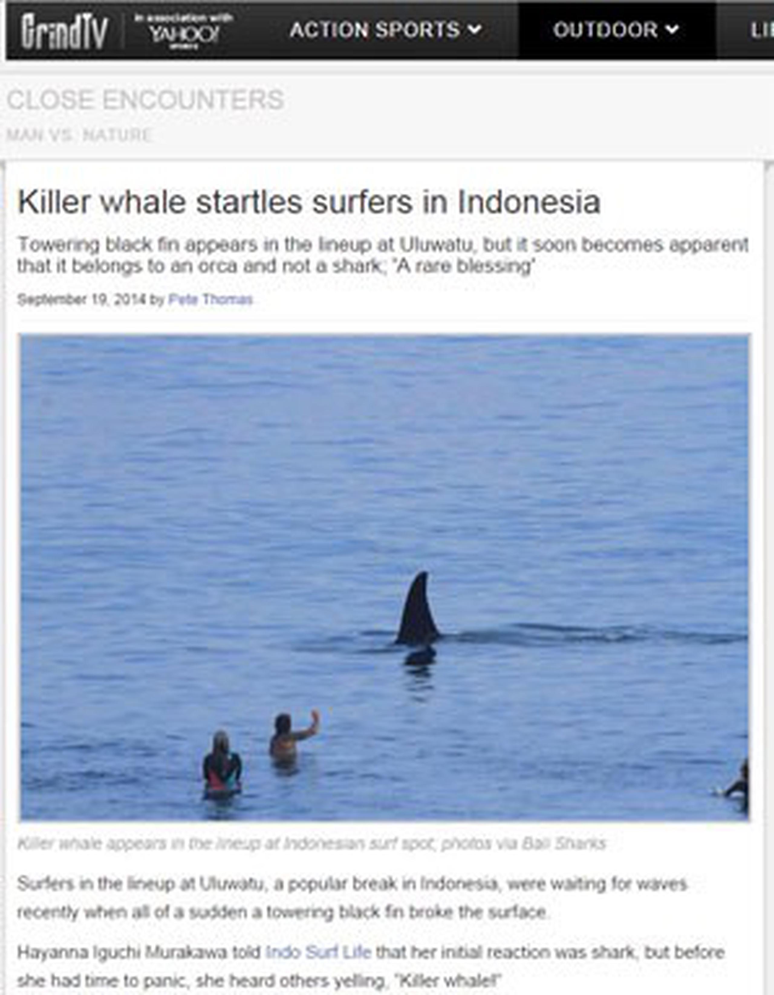 Las ballenas asesinas no acostumbran a atacar a las personas.(GrindTV)