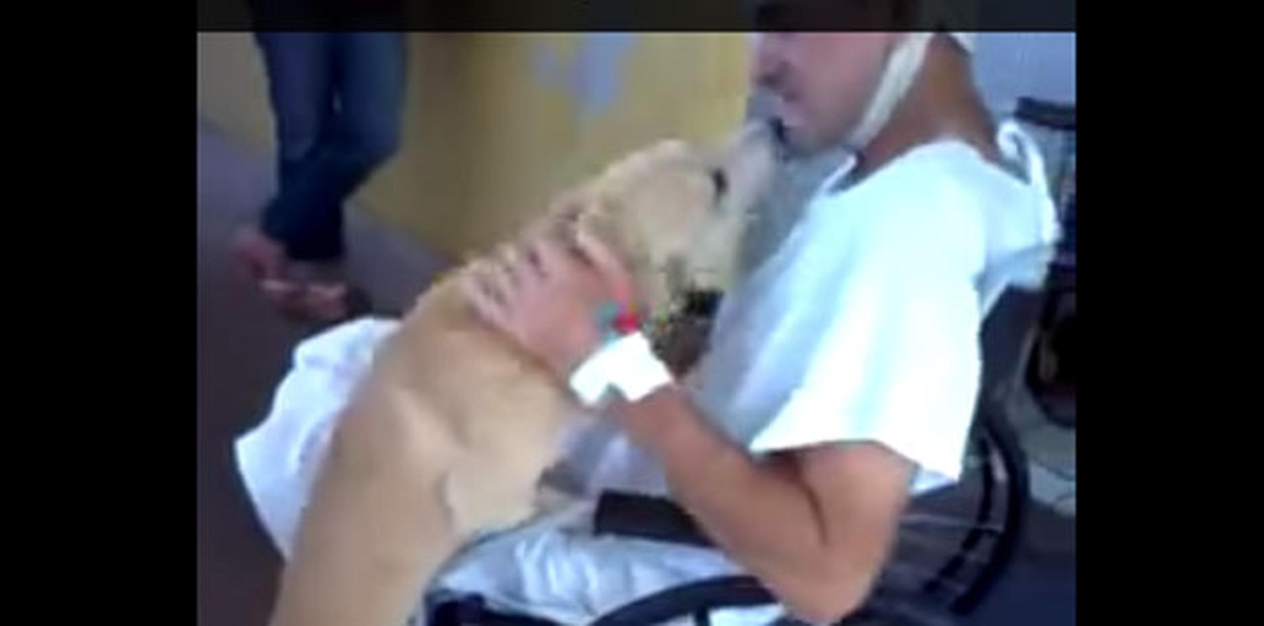 Seco, el perro del paciente, esperó en el estacionamiento del hospital, a donde personal del lugar le llevó comida y agua. (YouTube)