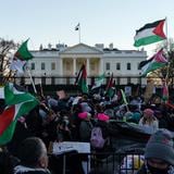 Miles toman las calles de Washington para rechazar el “genocidio” en Palestina