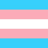 Argentina promulga ley de cupo laboral para personas trans en el sector público