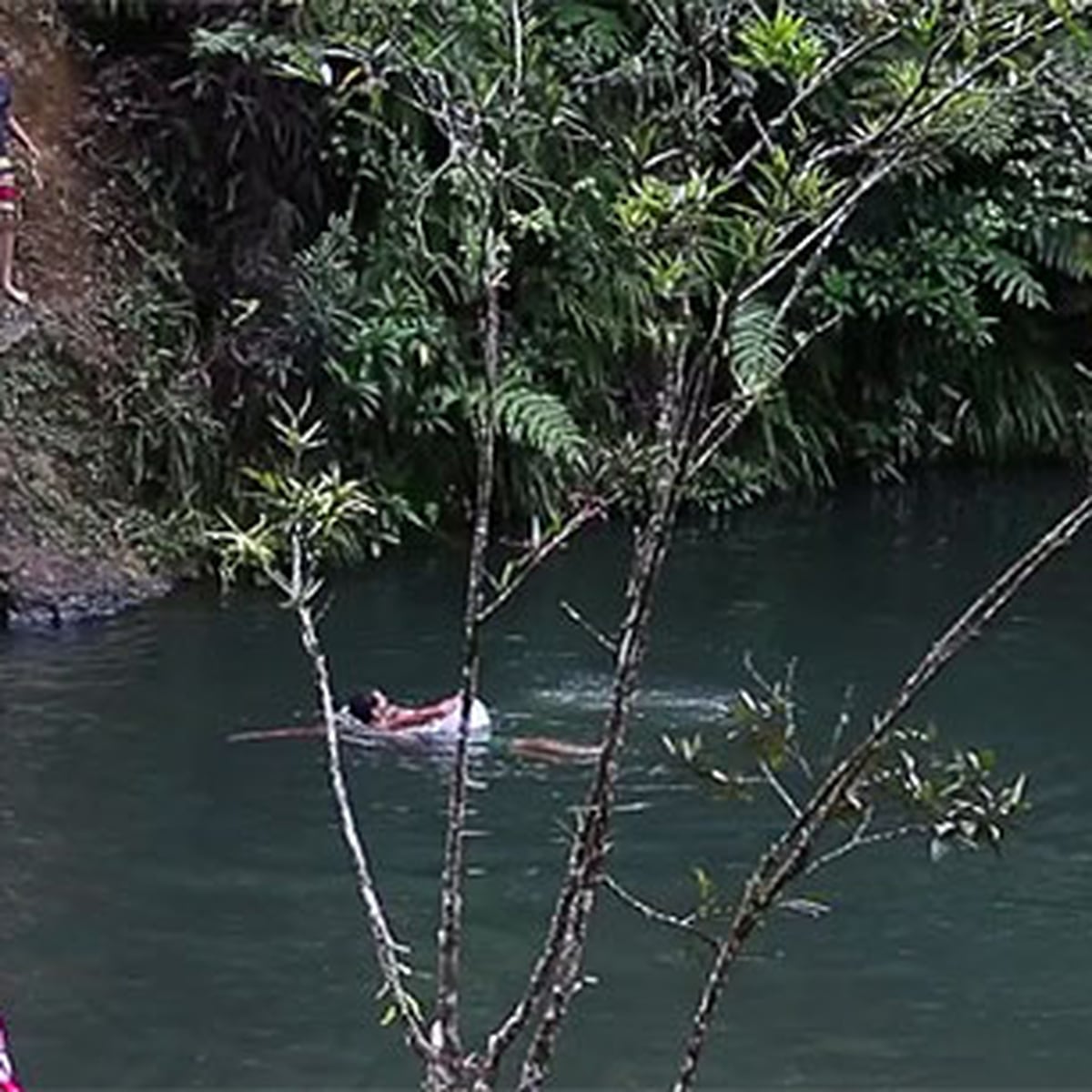 Un pasadía en… Charco Azul en el Bosque Estatal de Carite Primera Hora