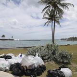 Scuba Dogs Society limpiará las playas con estricto protocolo de prevención del COVID-19