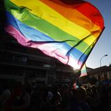 Senado federal aprueba proyecto que defiende el matrimonio gay