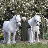 Suspenden carreras de caballos en honor a la reina Isabel II