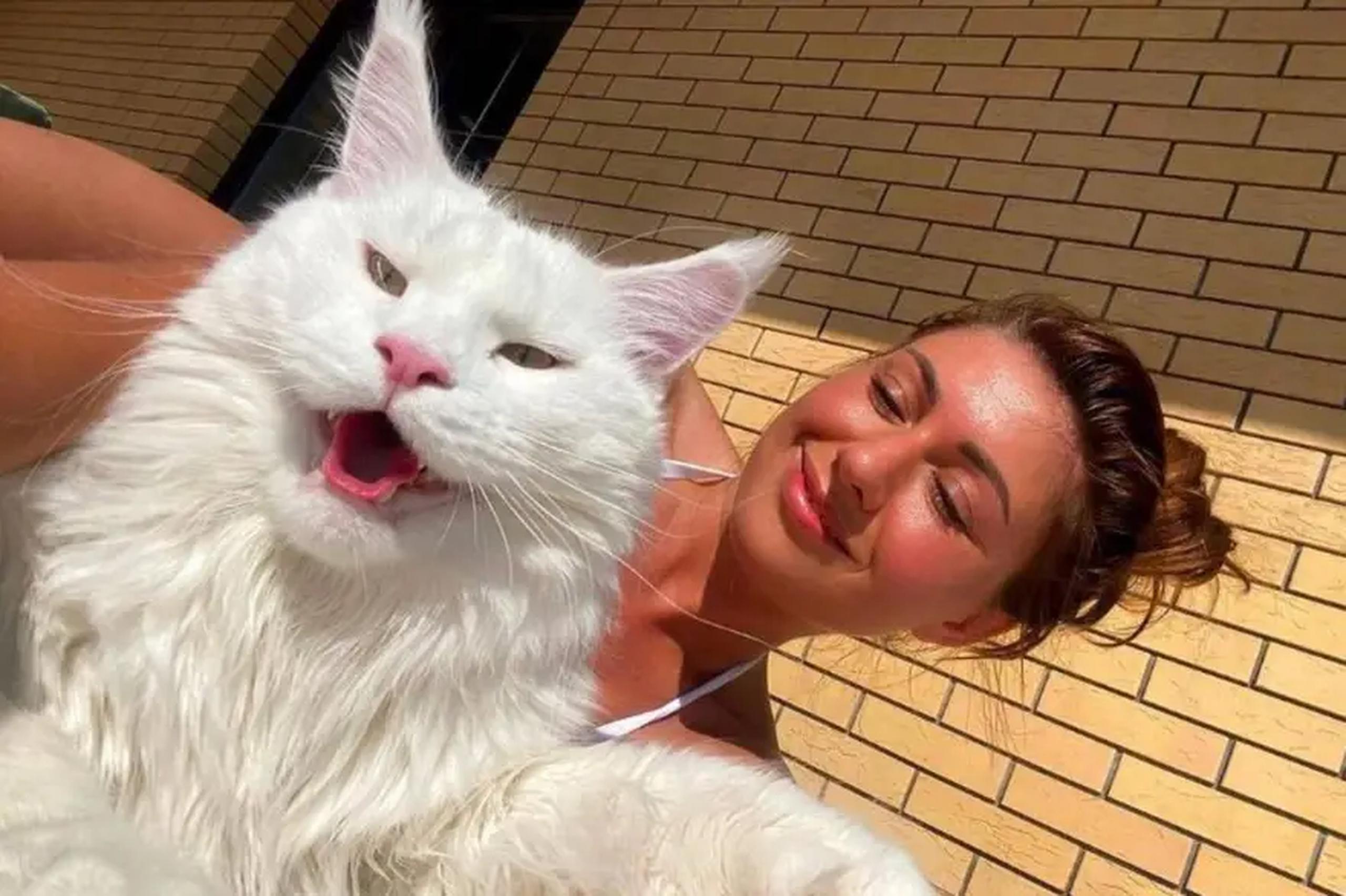 Yulia exhibe con frecuencia a su gato Kefir en las redes sociales, donde sorprende y maravilla por su gran tamaño.
