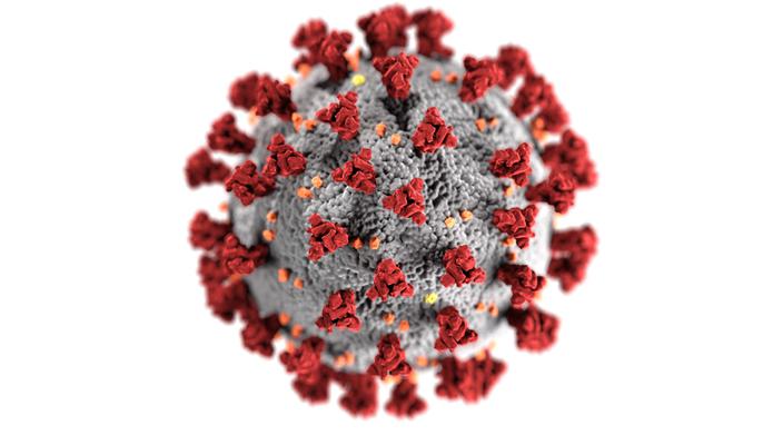 Experto detalla las similitudes y diferencias entre el COVID-19 y el VIH/sida. (CDC)
