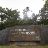 Abren convocatoria para ofrecer servicios comerciales en El Yunque