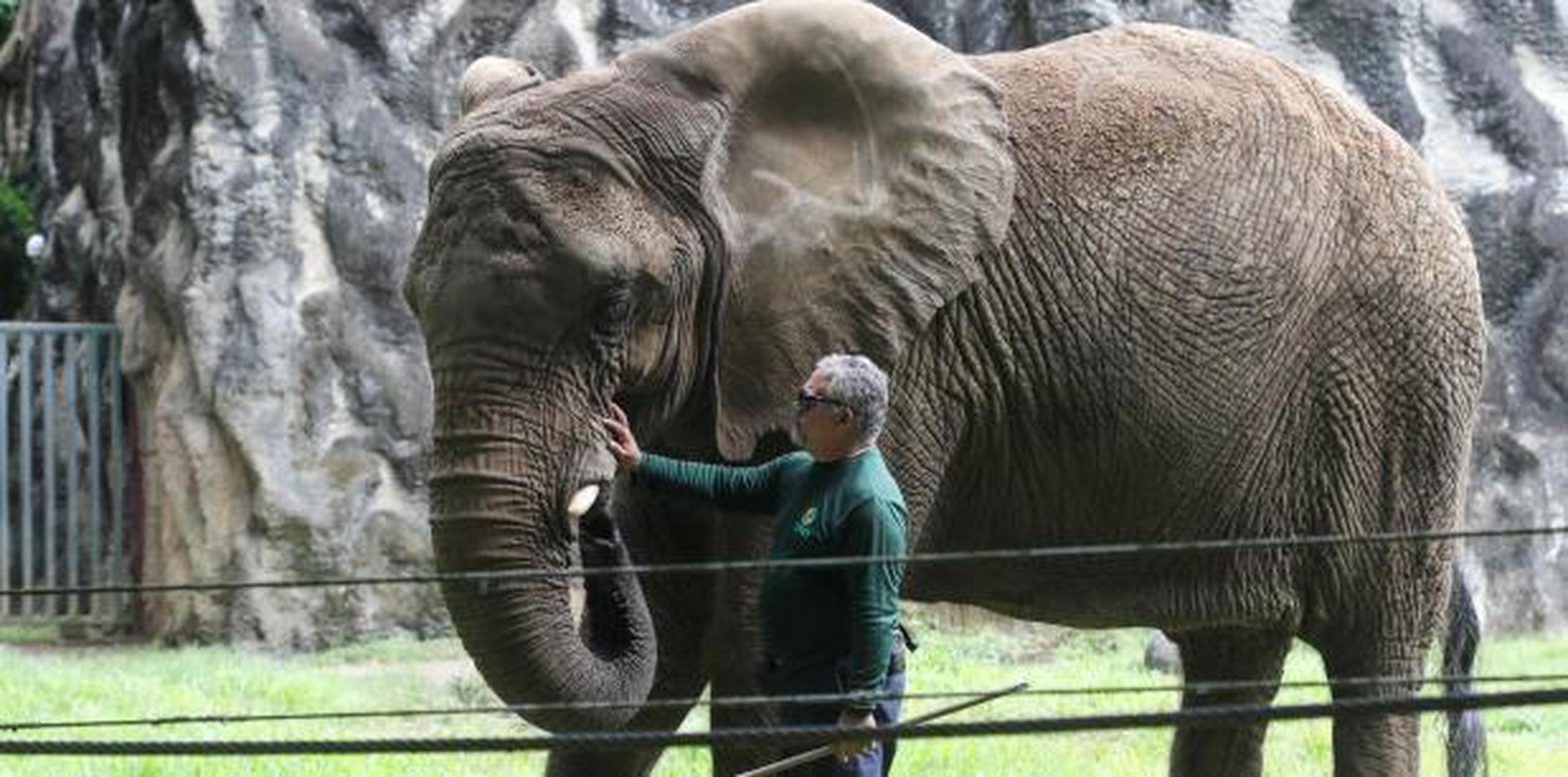 La semana pasada, el senador Luis Daniel Muñiz celebró una vista ocular en el zoológico. (Archivo)