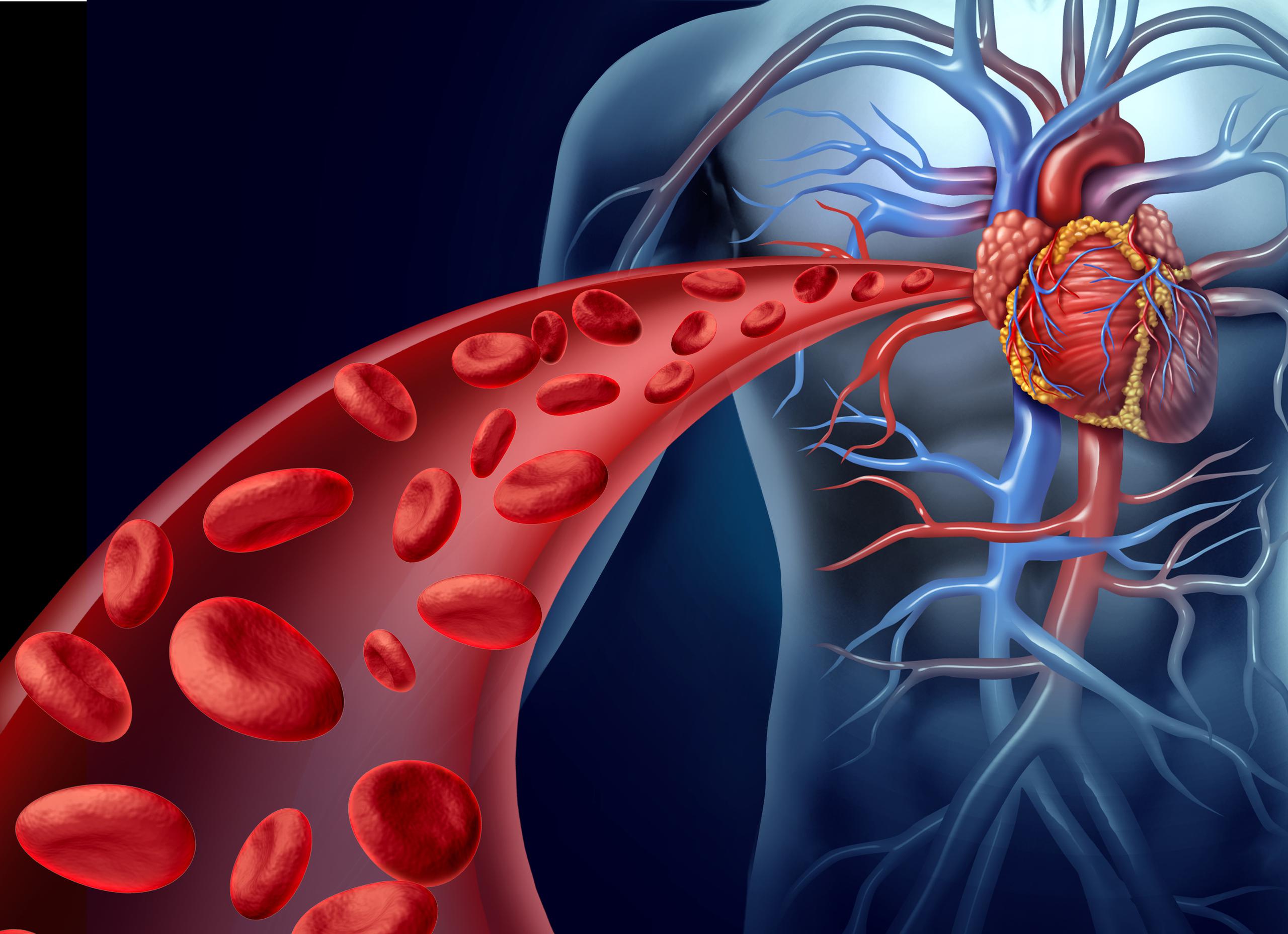 Existe una asociación entre el aumento de grasa epicárdica y el desarrollo de enfermedad coronaria.