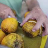 ¿Por qué en Puerto Rico se le llama china a la naranja y guineo al banano?