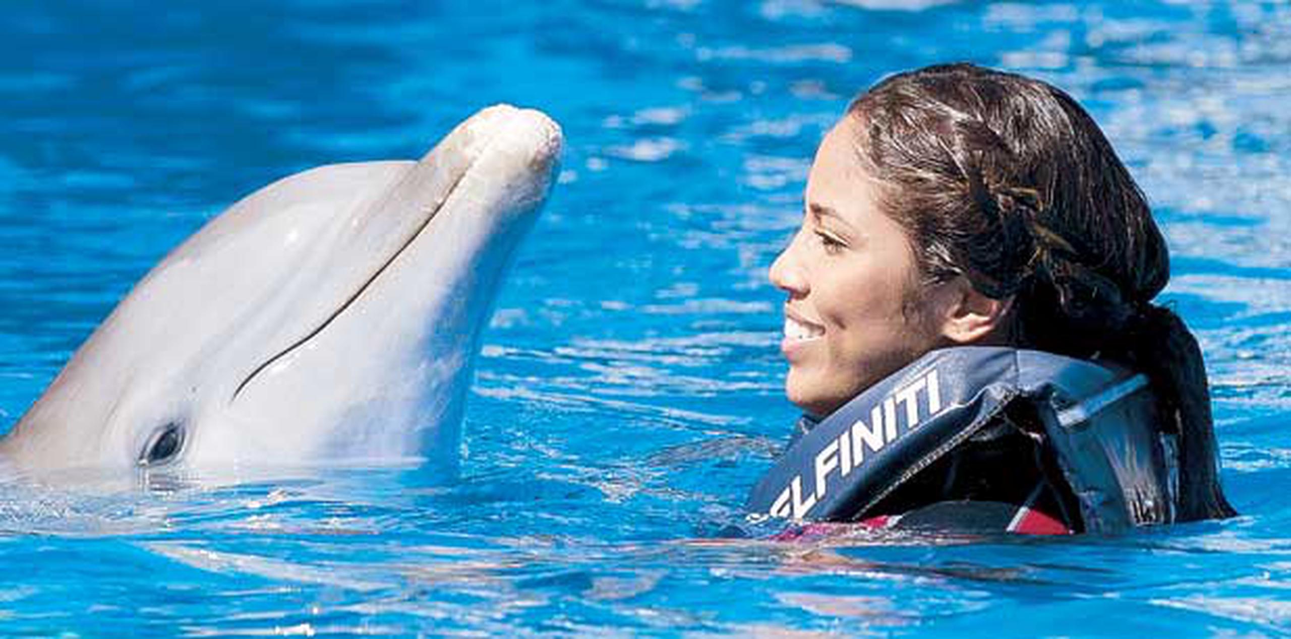 La púgil Kiria Tapia venció sus temores y se lanzó a nadar con los delfines, mientras que sus compañeros disfrutaron de tiempo de esparcimiento. (tonito.zayas@gfrmedia.com)